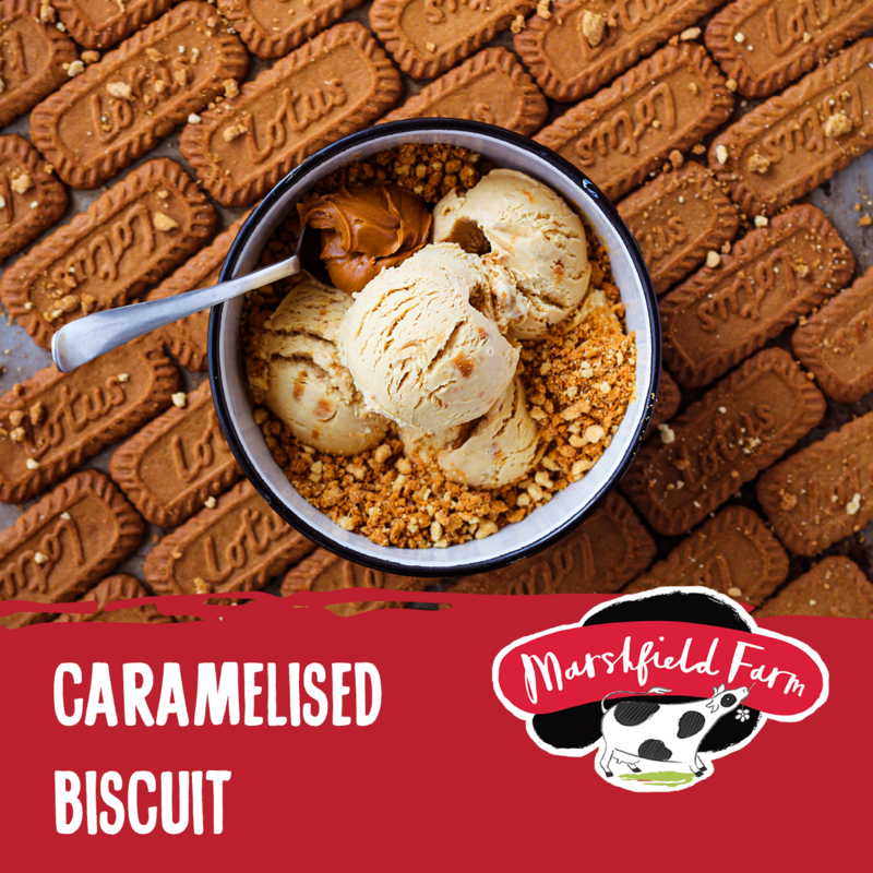 5lt Marshfield Caramelised Biscuit 1x5lt