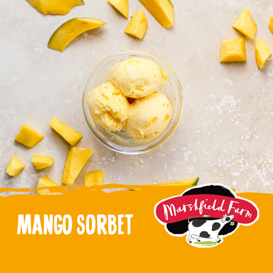 2.4lt Marshfield Mango Sorbet 2x2.4lt