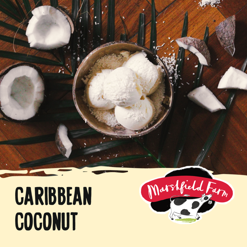 5lt Marshfield Caribbean Coconut 1x5lt