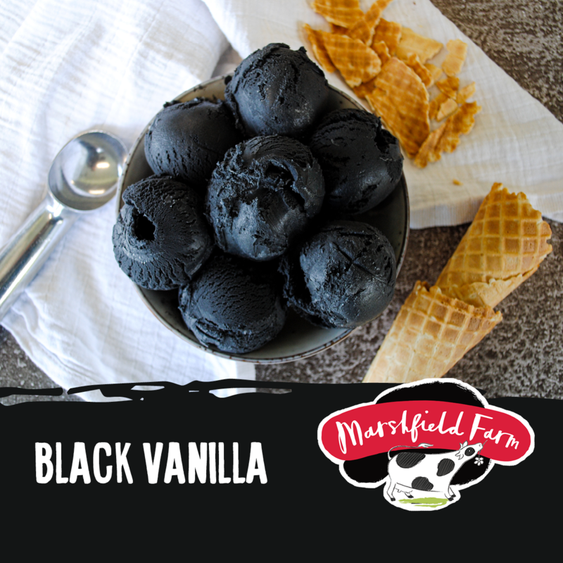 5lt Marshfield Black Vanilla 1x5lt