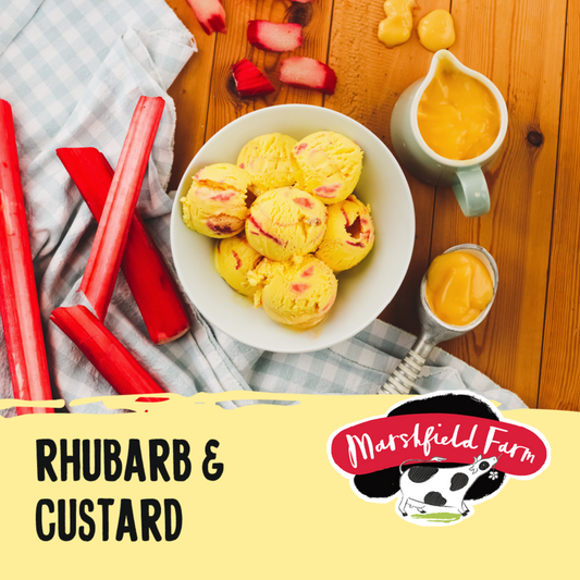 5lt Marshfield Rhubarb & Custard 1x5lt