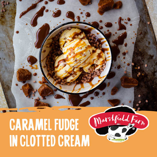 5lt Marshfield Caramel Fudge Clotted Cream 1x5lt