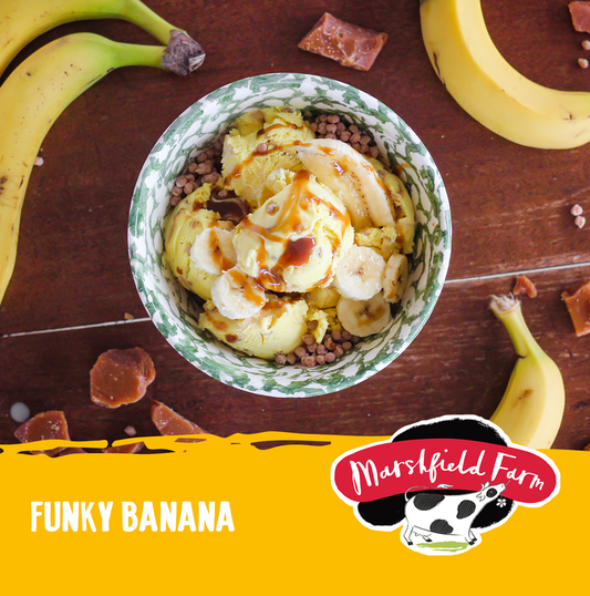 5lt Marshfield Funky Banana 1x5lt