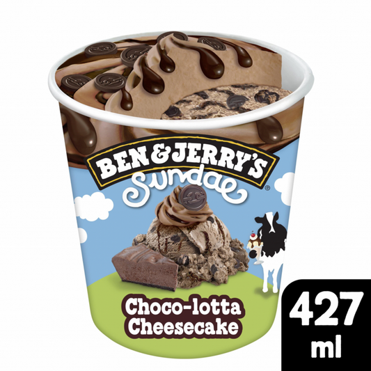 Ben & Jerrys Sundae Choco-Lotta Cheesecake 8x427ml