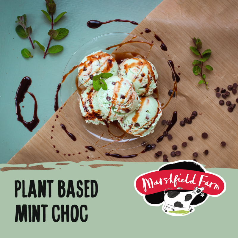 2.4lt Marshfield PLANT BASED Mint Choc 2x2.4lt