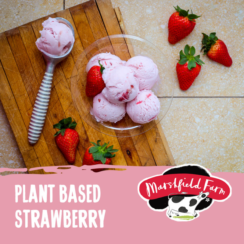 2.4lt Marshfield PLANT BASED Strawberry 2x2.4lt