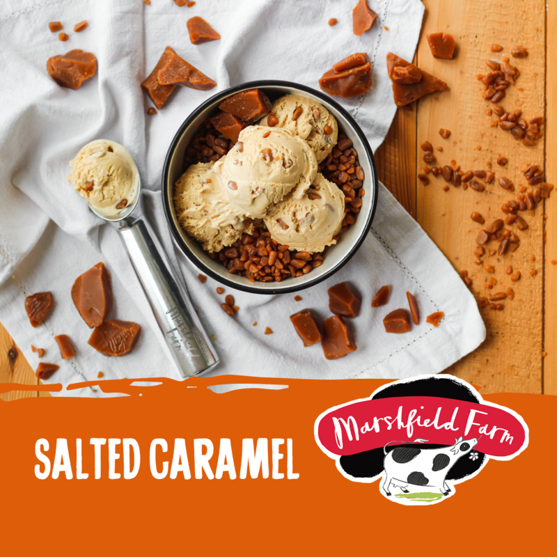 5lt Marshfield Salted Caramel 1x5lt