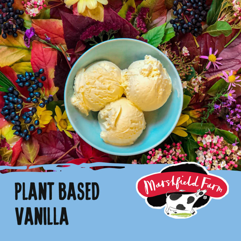 2.4lt Marshfield PLANT BASED Vanilla 2x2.4lt