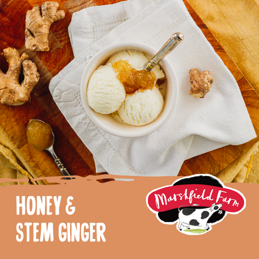 5lt Marshfield Honey & Stem Ginger 1x5lt