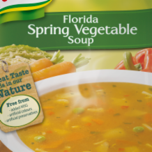 Knorr Soup Florida Vegetable  9x48g