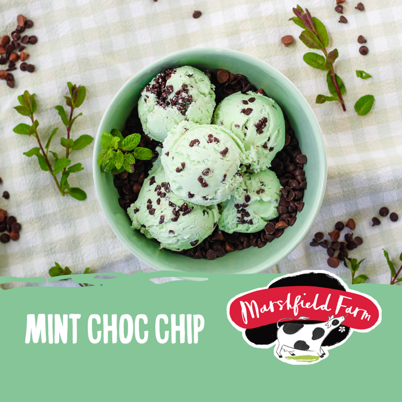 5lt Marshfield Mint Choc Chip 1x5lt