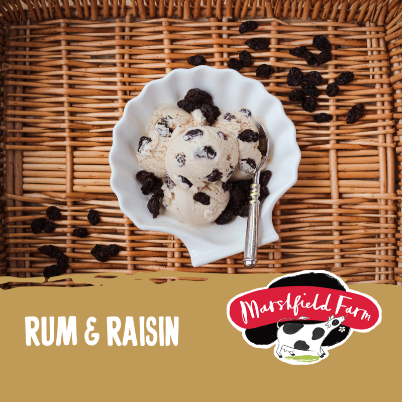 5lt Marshfield Rum & Raisin 1x5lt