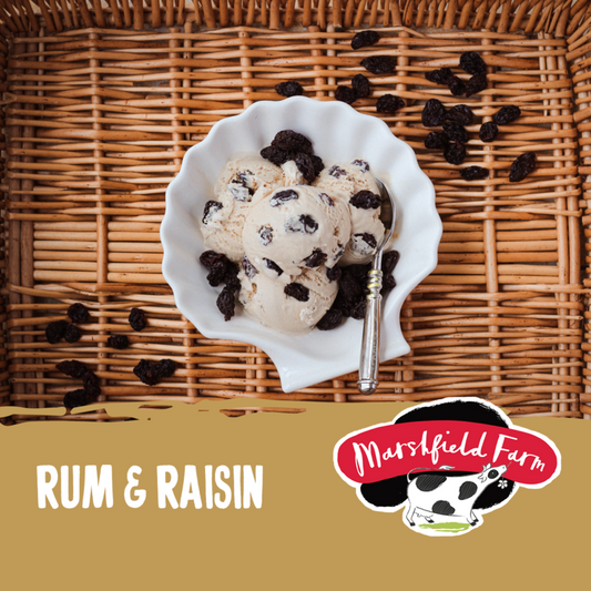 5lt Marshfield Rum & Raisin 1x5lt