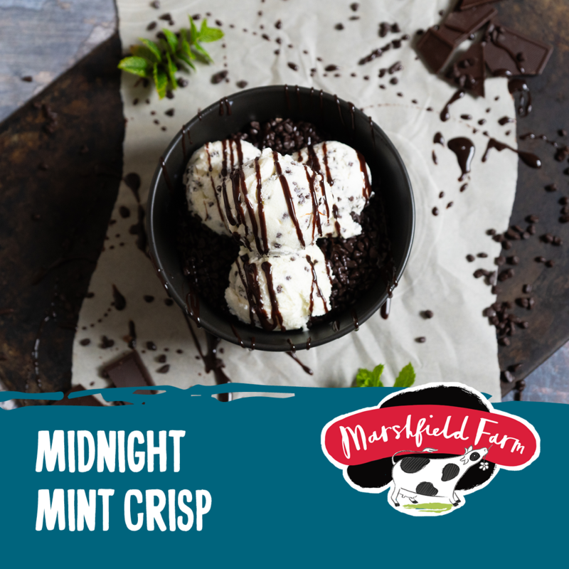 5lt Marshfield Midnight Mint Crisp 1x5lt