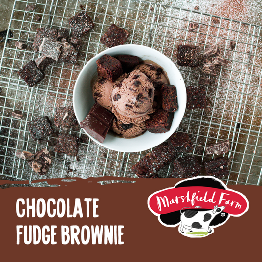 5lt Marshfield Chocolate Fudge Brownie 1x5lt