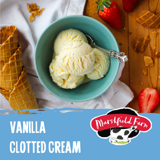 5lt Marshfield Clotted Vanilla 1x5lt