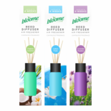 Assorted Fragrance Reed Diffuser  1x30ml