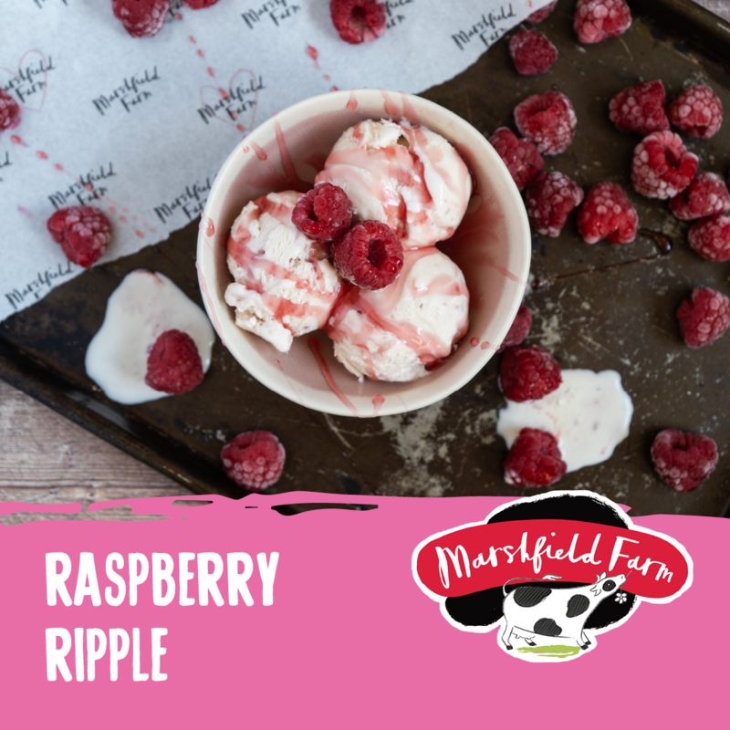 5lt Marshfield Raspberry Ripple 1x5lt