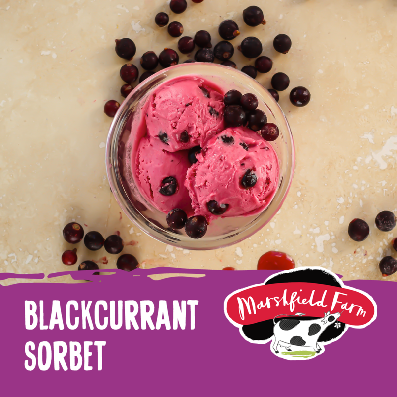 2.4lt Marshfield Blackcurrant Sorbet 2x2.4lt