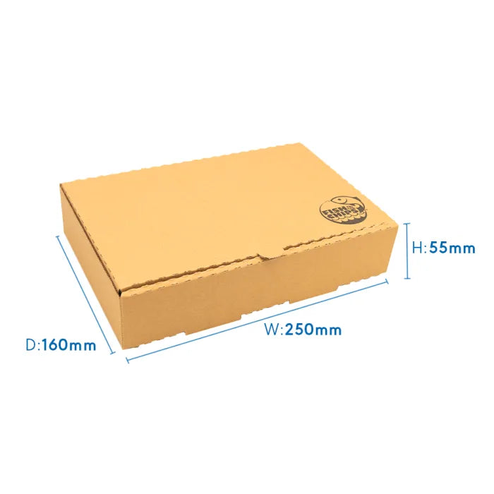 9" Kraft Cardboard Fish & Chips Boxes (250x55x160mm) Case of 100