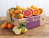Citrus Fruit Favourites Box Organic