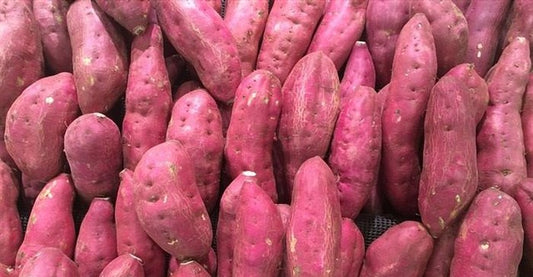 African Sweet Potato 18-20kg Box