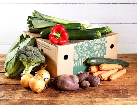 Medium Very Veggie Veg Box Organic