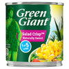 Green Giant Salad Crisp 160g