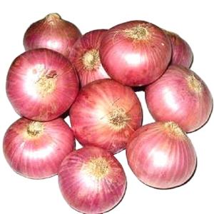 Fresh Red Onions Pack