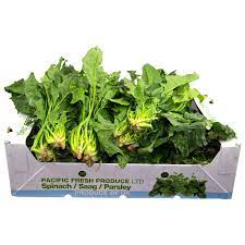 Fresh Spinach Box (20 Bunches)