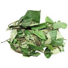 Fresh Utazi Leaf Bunch