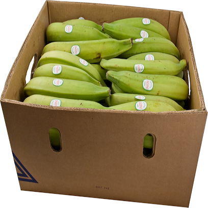 MASGreen Plantain Box-Mas