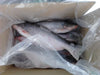 Frozen Pangasius White Catfish Whole 2.5kg
