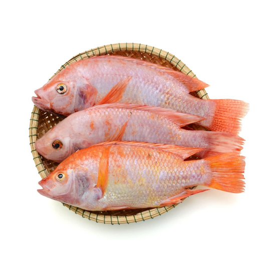 Frozen Red Tilapia Fish (Gutted & Scaled) 2.25kg