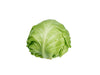 Baby Cabbages