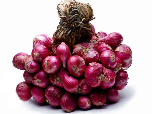 Bunched Shallots