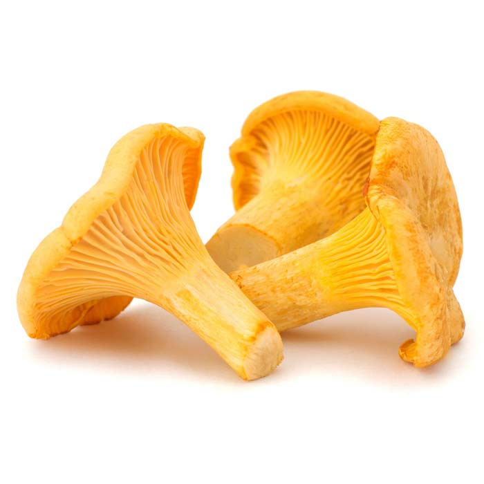 Girolles Mushrooms Usa
