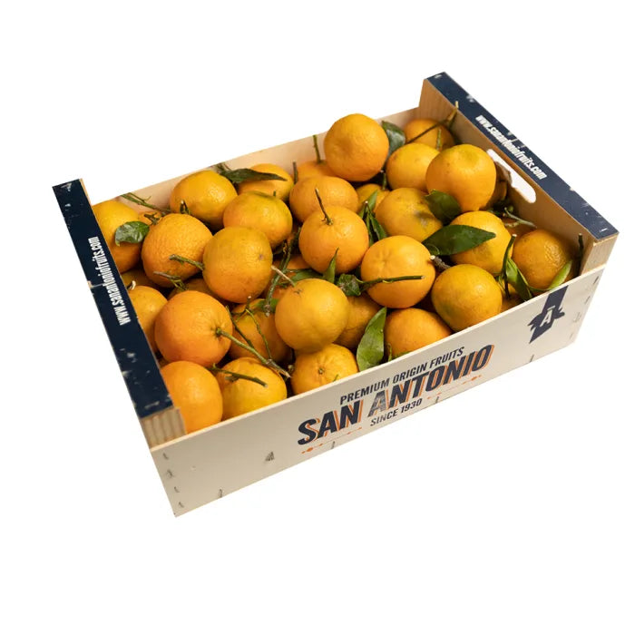 Fresh Clementines (Easy Peeler)-1x10kg