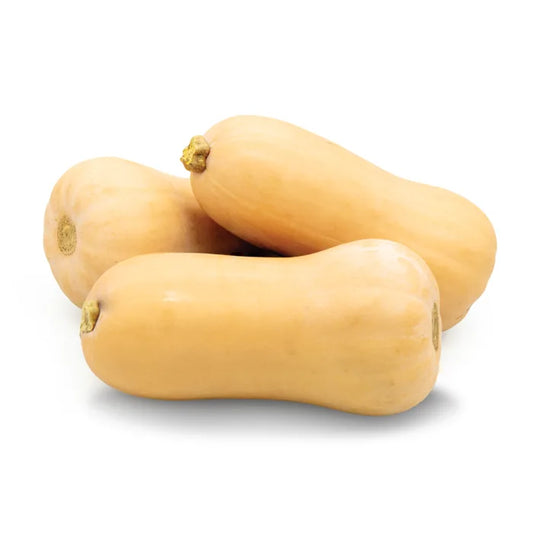 Butternut Squash-1x10kg