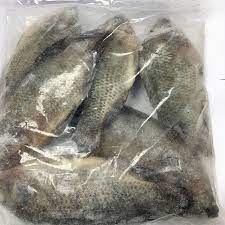 Frozen Tilapia Fish 300-500 (Gutted & Scaled) 2.5kgX2