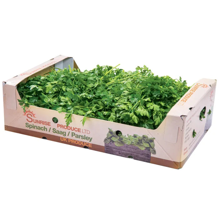 Fresh Flat Leaf Parsley-1x20 Bunches