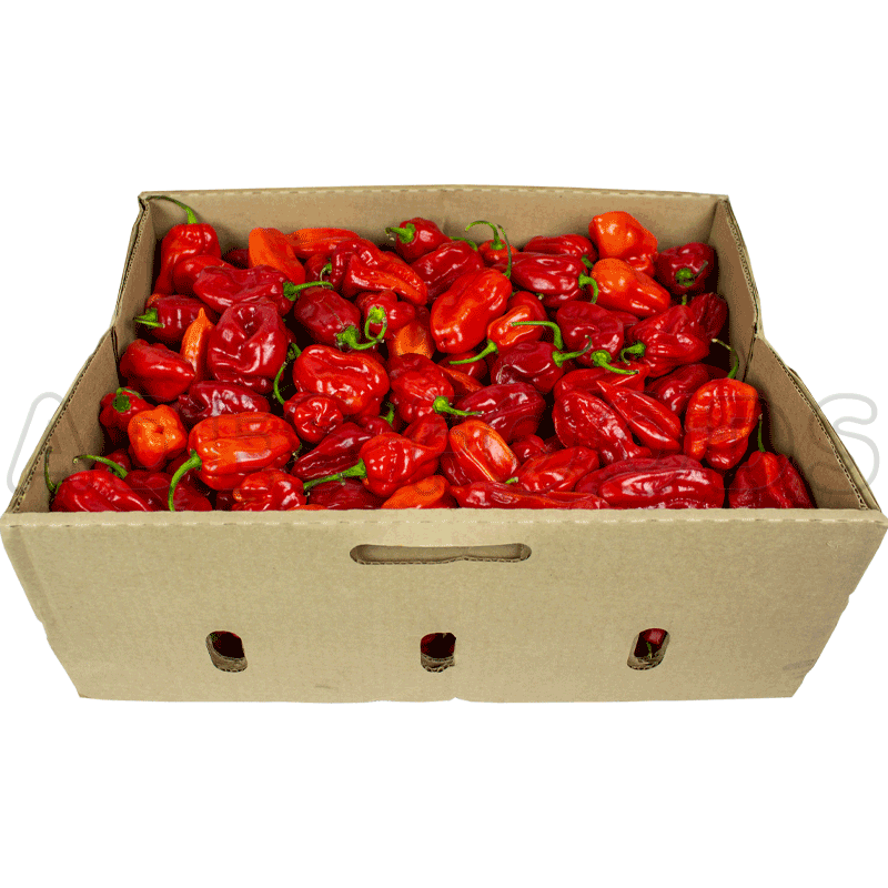 https://myafricacaribbean.com/cdn/shop/products/fresh-hot-pepper-box.png?v=1636009056