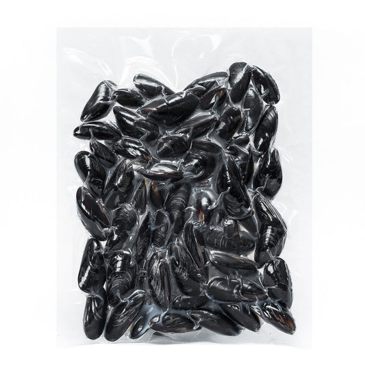 Frozen Cooked Whole Shell Mussels 1KG