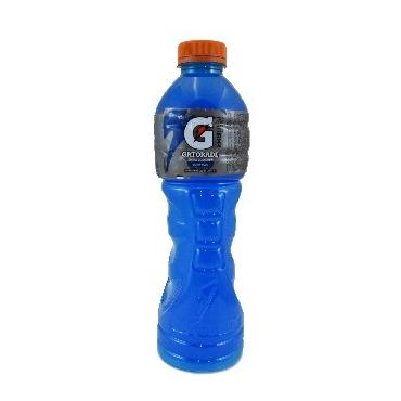 Gatorade Berry Blue 600ml Case of 12