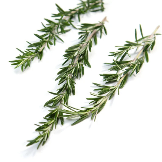 Fresh Rosemary-1x100g