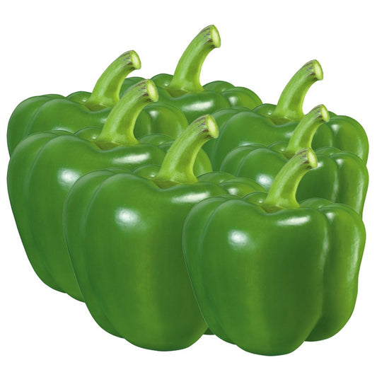 Fresh Green Pepper (Big Pack)