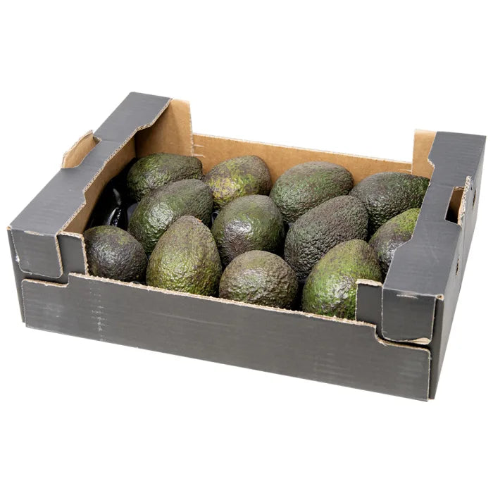 Fresh Avocados-1x(14-18)