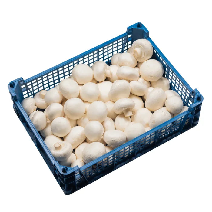 Cup Mushrooms-1x2.5kg