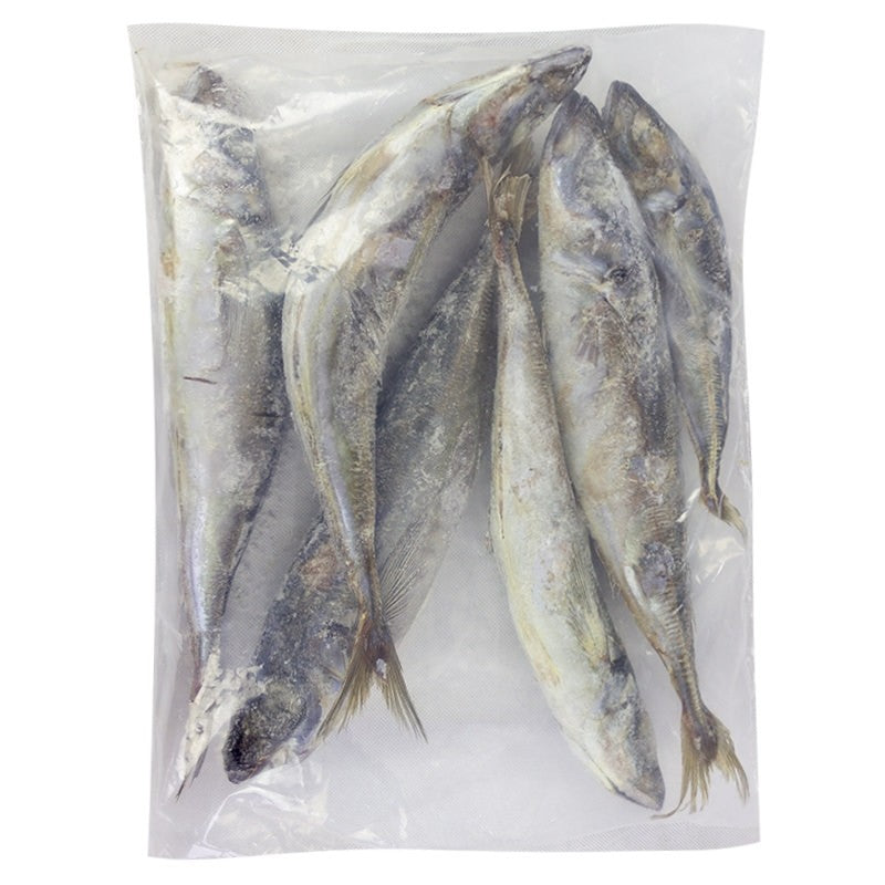 Jack Mackerel Fish 1.5kg