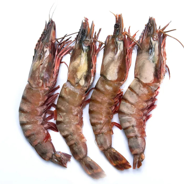 NSFIL Premium Semi - IQF Raw HOSO Black Tiger Prawns (2/4, 750g net)-1kg